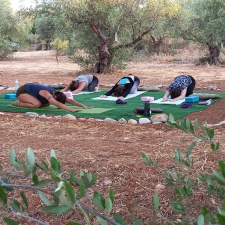 8 Days in Chaia, Crete, Greece