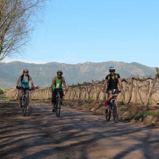 4 Day Exploring Colchagua Wine Valley cycling Holiday in Santa Cruz, Chile