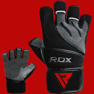L4 Leather Gym Gloves