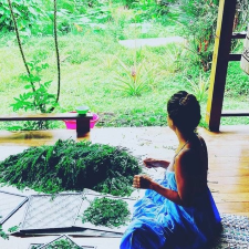11 Days in Volio, Limon, Costa Rica