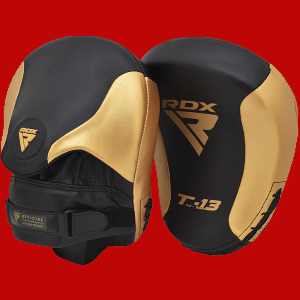 T13 Punch Mitts