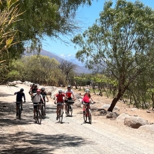 8 Day Guided Cycling Tour in Salta Province, Argentina