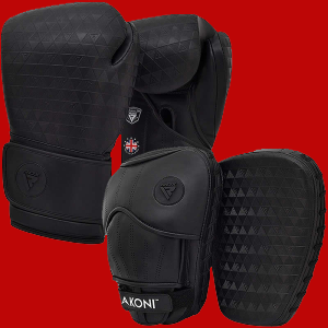 T12 Boxing gloves focus pads