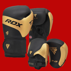 T13 Boxing gloves focus pads
