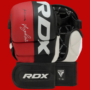 T6 MMA Sparring Gloves