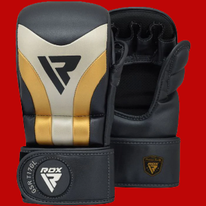 T17 MMA Sparring Gloves