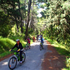 6 Day Guided Cycling Holiday: Tour of Athens and Attica in central Athens, Greece