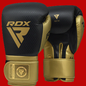 L2 Mark Pro Sparring Gloves
