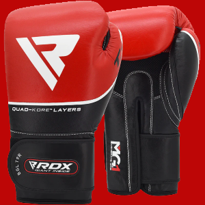 T9 Ace Boxing Gloves