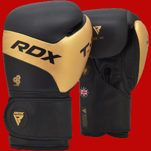 T13 Boxing Dloves