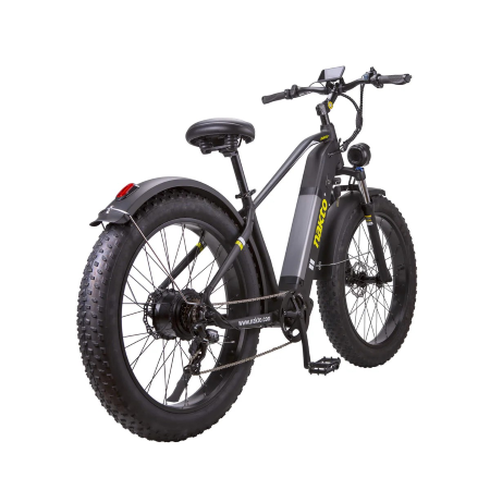 Electric Bikes